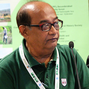 Author image