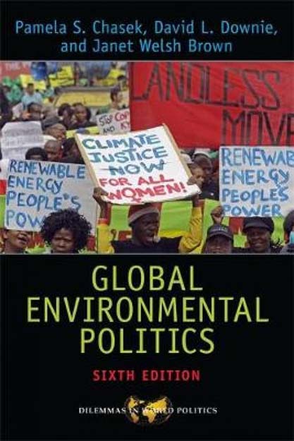Global Environmental Politics : Sixth Edition