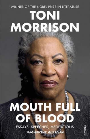 Mouth Full Of Blood : Essays, Speeches, Meditations
