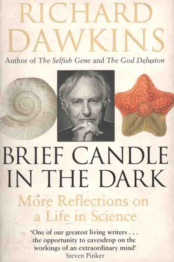 Brief Candle in the Dark