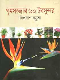 গৃহসজ্জার ৬০ টবসুন্দর