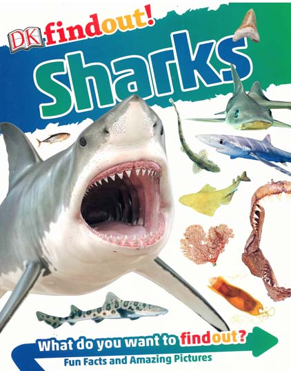 DK Findout Sharks
