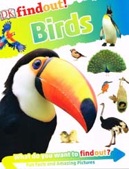 DK Findout Birds (Big)