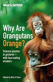 Why Are Orangutans Orange? Science Questions In Pictures With Fascinating Answers