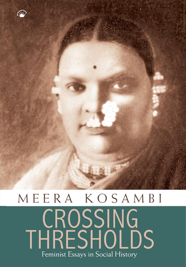 Crossing Thresholds : Feminist Essays In Social History