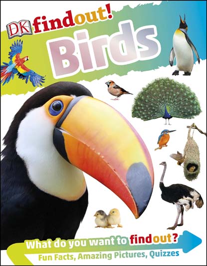 Birds : Dk Findout (Small)