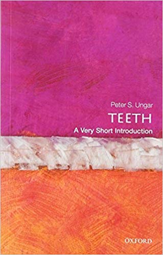 Teeth : A Very Short Introduction 384