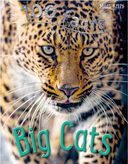 100 Facts Big Cats