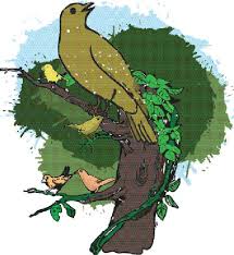 পাখিদের সভা