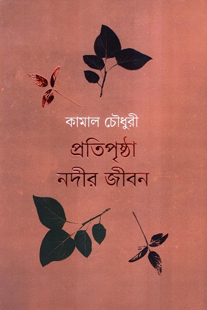 প্রতিপৃষ্ঠা নদীর জীবন