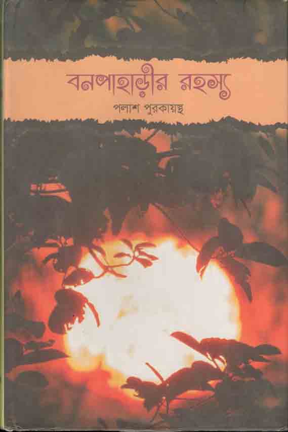বনপাহাড়ীর রহস্য