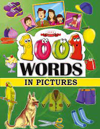 1001 Words In Pictures