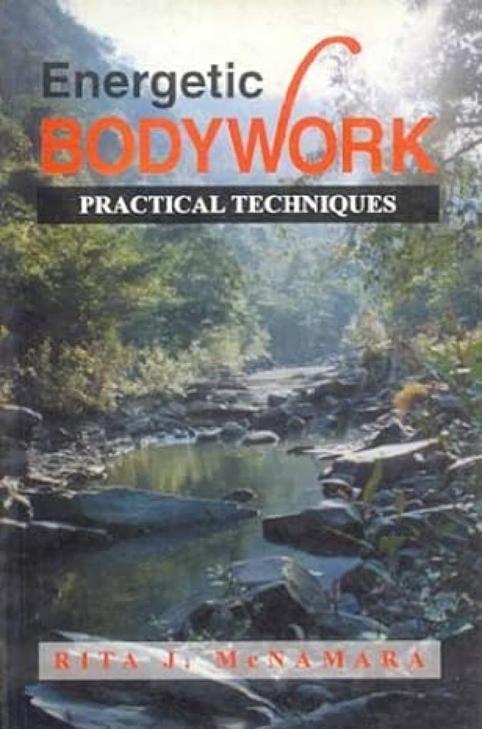 Energetic Bodywork : Practical Techniques