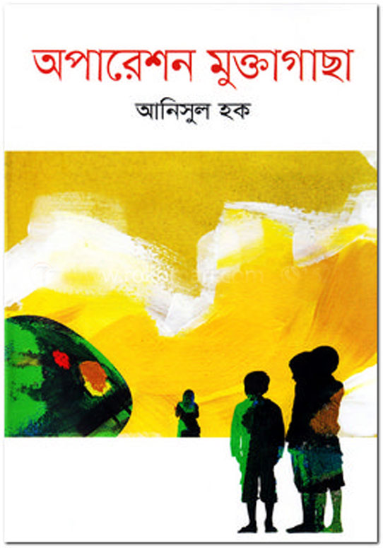 অপারেশন মুক্তাগাছা