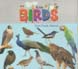 Kids : Birds