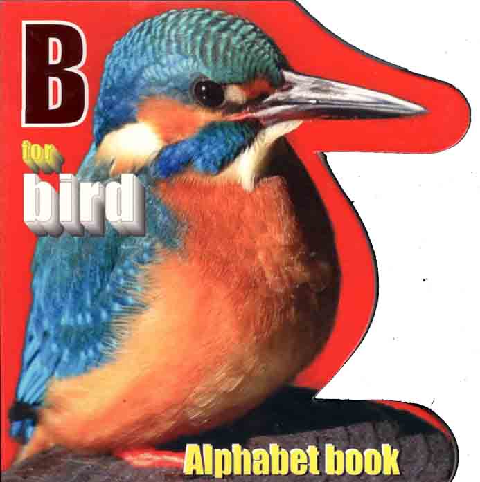 B For Bird : Alphabet Book