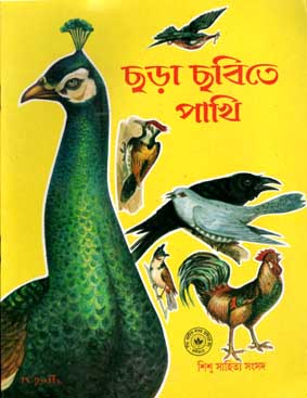 ছড়া ছবিতে পাখি
