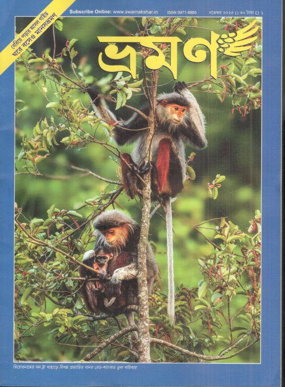 ভ্রমণ : নভেম্বর ২০২৪