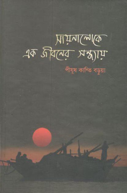 সায়নালোকে এক জীবনে সন্ধ্যায়