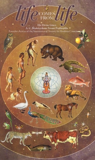 Life Comes From Life