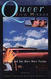 Queer Viw Mirror : Lesbian and Gay Short Fiction