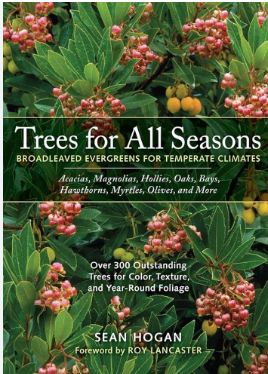 Tress for All Seasons : Broadleaved Evergreens for Temperate Climates 