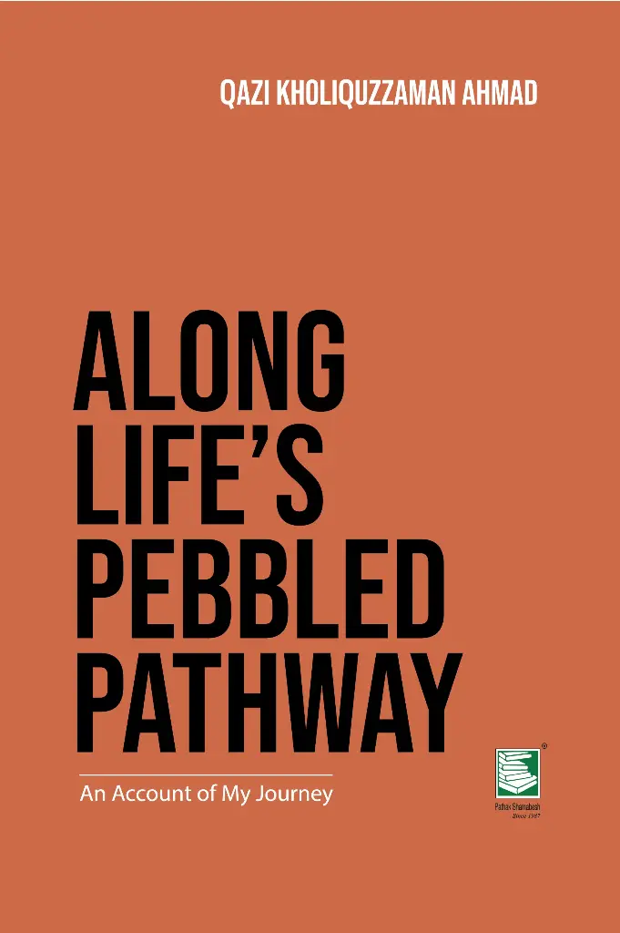 Along Life's Pebbled Pathway