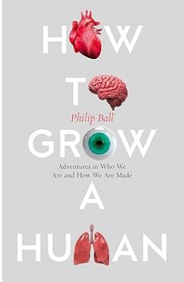 How To Grow A Human