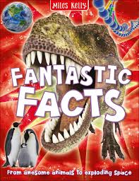 Fantastic Facts (MK)