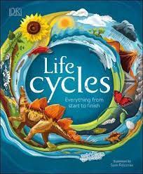 Life Cycles : Everything From Start To Finish
