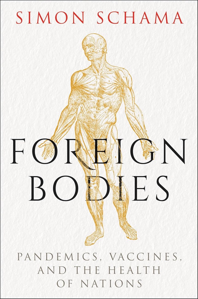 Foreign Body (HB)