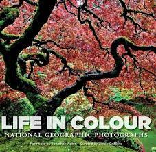 Life In Colour : National Geographic Photographs