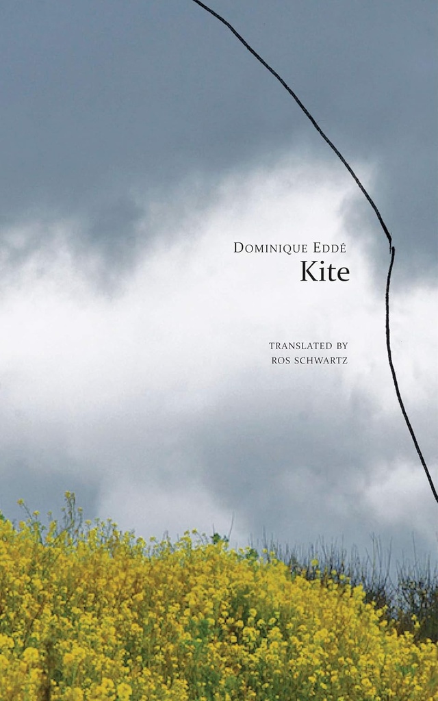Kite (Seagull)