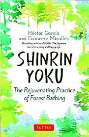 Shinrin Yoku : The Rejuvenating Practice of Forest Bathing