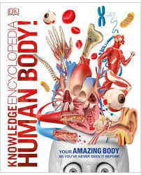 Knowledge Encyclopedia Human Body (DK)