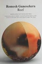 Reef (Granta)