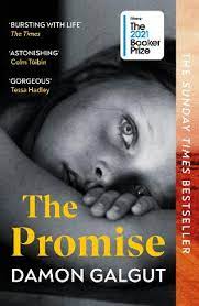 [9781529113877-1] The Promise (Vintage)