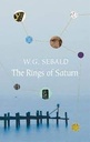 The Rings Of Saturn