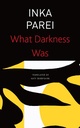What Darkness Was