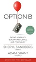Option B : Facing Adversity, Building Resilience