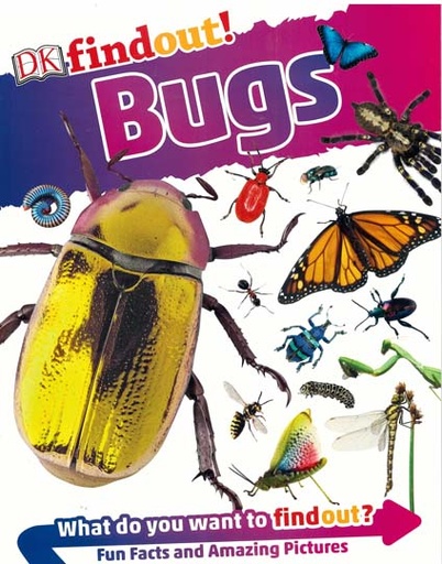 [9780241420645-1] DK Findout Bugs