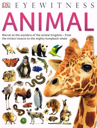 [9780241425008-1] Eyewitness Animal (DK)