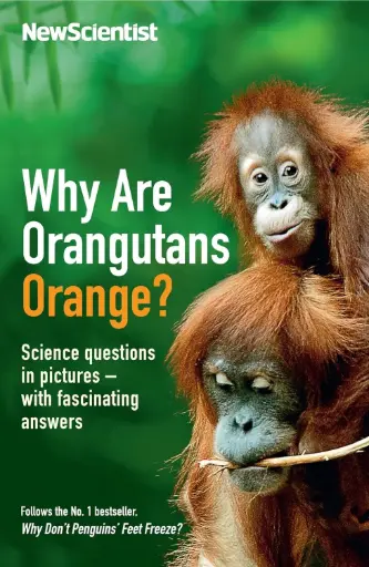 [9781846685071-1] Why Are Orangutans Orange? Science Questions In Pictures With Fascinating Answers