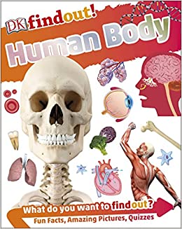 [9780241285077-1] Human Body : What Do You Want To Find Out? (DK) (Small)
