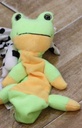 Pencil Bag (Frog)