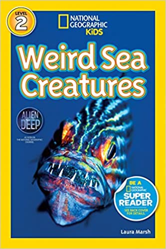 [9781426310478-1] Weird Sea Creatures (Level 2)