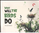 What Will The Birds Do
