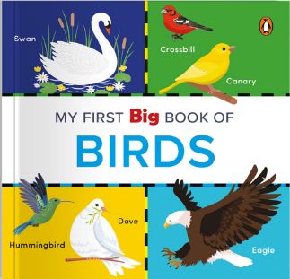 [9789815127485-1] My First Big Book of Birds