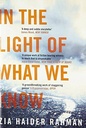 In The Light Of What We Know (Picador)