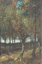 Poplars Near Nuenen : Sevendays Notebook